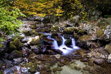 Düşük çekim hızı ile bir dağ dere üzerinde küçük şelalenin bir dizi fotoğrafı sonbahar yaprakları arka plan
