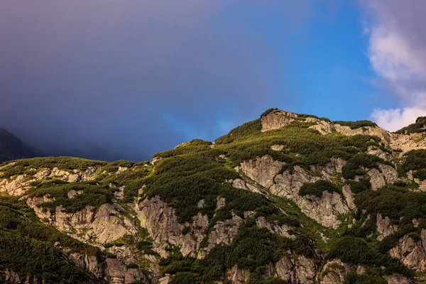 Orörd Vildmark Rumänska Karpaterna Berget Parang Med Issjö Och Gröna — Stockfoto