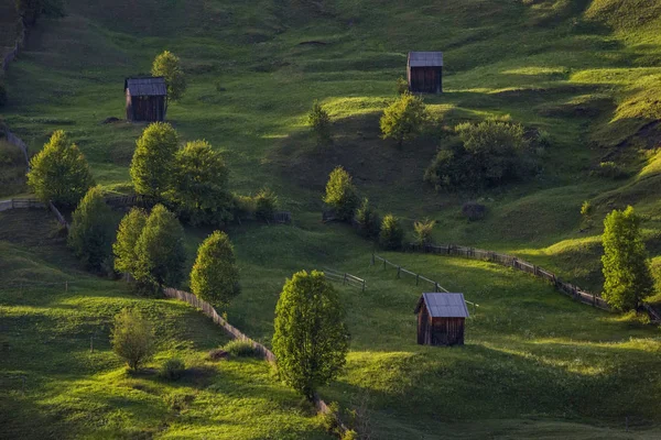 Romanya ' da Bucovina bölgesi inişli çıkışlı tepeler ve evler günbatımı ışığı yeşil ile pastoral sahne