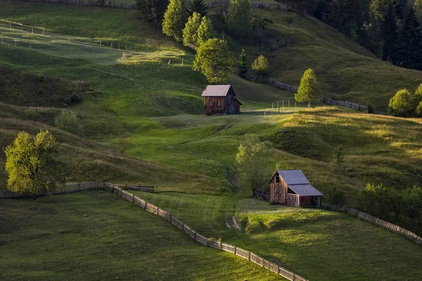 Yeşil tepeler günbatımında haddeleme ile Romanya'da Bucovina bölgesinin büyüleyici doğal ortamda
