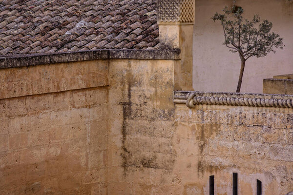 Old building in Matera Italy with a lonely small olive tree high on a balcony