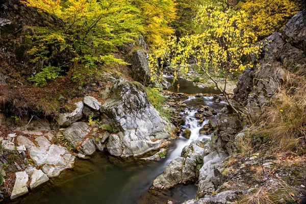 Górach Rumunii Spadek Liści Piękny Mały Wodospad Strzał Zwolnionym Tempie — Zdjęcie stockowe