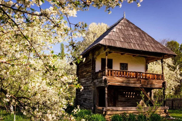 Typisches Zweistöckiges Haus Aus Holz Einem Innenhof Der Landschaft Rumäniens — Stockfoto