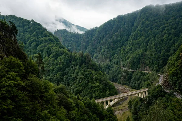 Grünes Flusstal Den Rumänischen Karpaten Mit Straße Und Brücke lizenzfreie Stockbilder