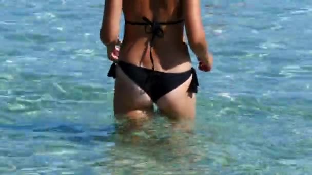 Sexy woman in bikini going into the sea — Stock video