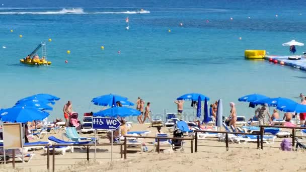 Famosa spiaggia di baia di fico — Video Stock