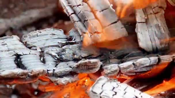 The flame of fire from the burning firewood in the fireplace — Stock Video