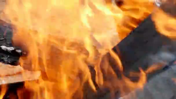 Τη φλόγα της πυρκαγιάς από την καύση καυσόξυλων για το τζάκι — Αρχείο Βίντεο