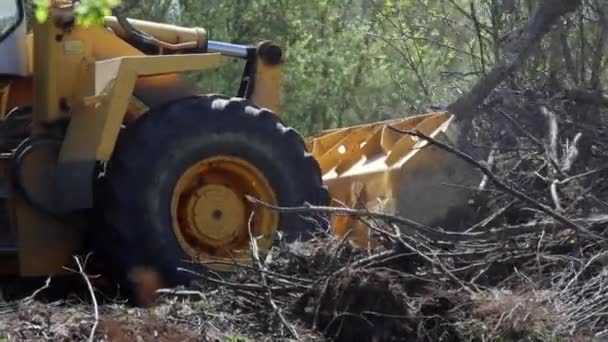 轮式装载机挖掘机清除建筑垃圾 — 图库视频影像