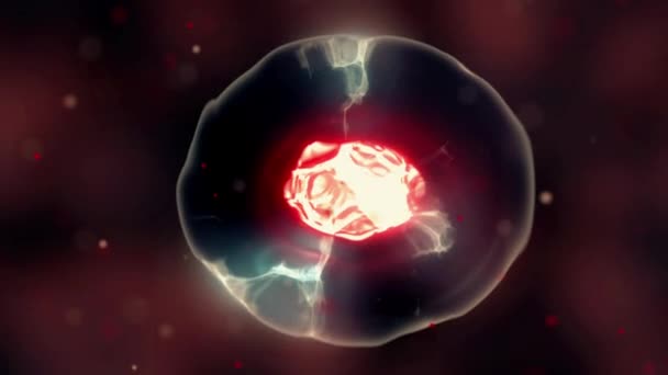 分裂的细胞与核动画。Ultrahd 视频 — 图库视频影像