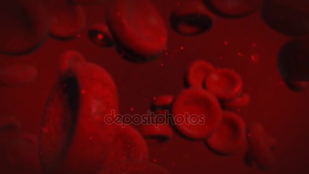 在动脉内的血红细胞的动画。4 k Ultrahd 视频 — 图库视频影像