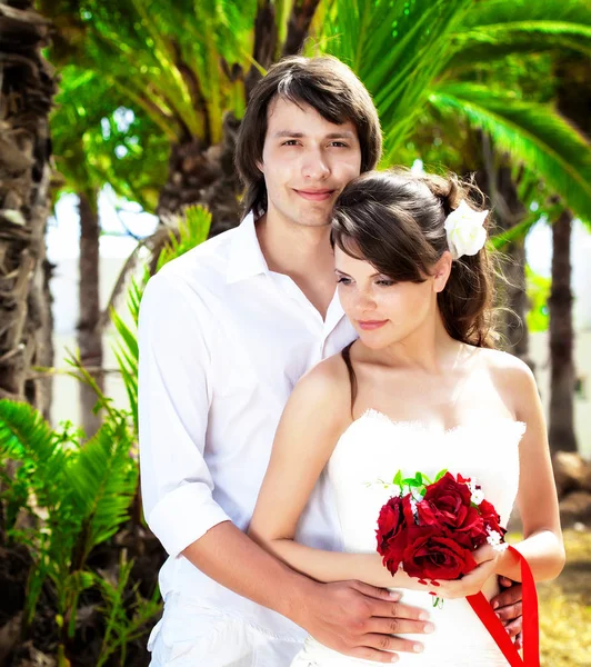 Bride and groom near palm-tree — Stock Photo, Image