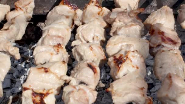 Roosteren rauw vlees op outdoor grill. Shashlik close-up. — Stockvideo