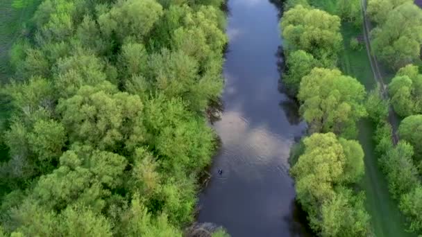 Foresta verde e fiume blu — Video Stock