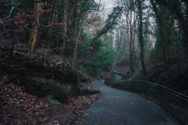 Patika Cambuslang kamu Park, Glasgow, İskoçya