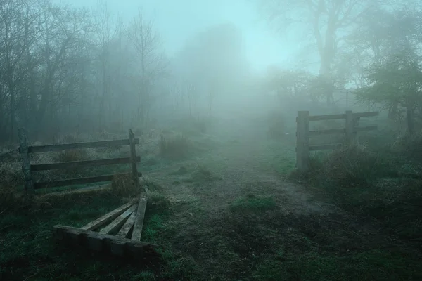 Antigua puerta de madera rota y cerca en el campo en una mañana de niebla — Foto de Stock