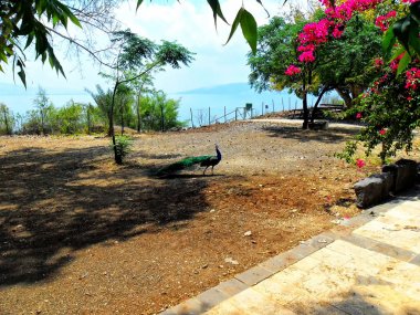 Taberiye Gölü (Tiberias Gölü), İsrail, Ortadoğu Capernaum Twelve Apostles Yunan Ortodoks Kilisesi