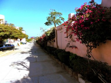 Mısır, Kuzey Afrika, Hurghada Kızıldeniz tatil günleri.