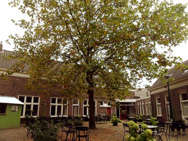 Hollanda için seyahat, şehir Eindhoven ziyaret