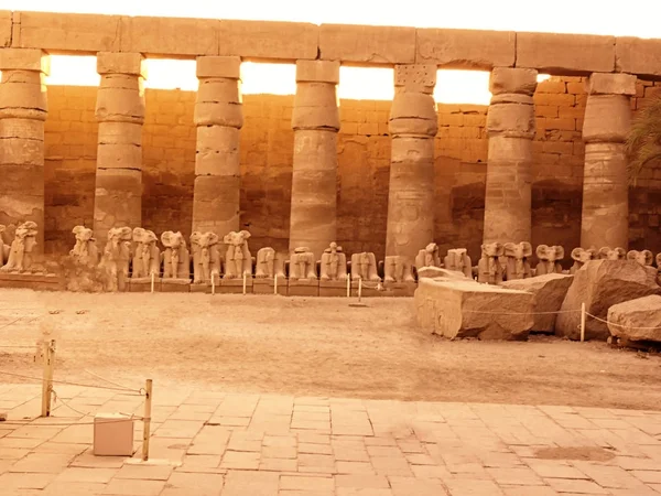 Egypt Severní Afrika Chrám Luxoru Karnaku — Stock fotografie