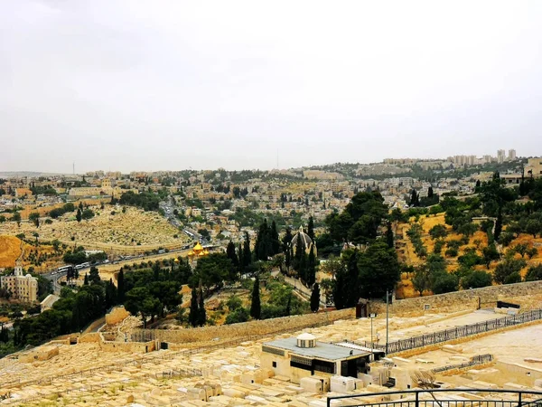 Израиль Иерусалим Ближний Восток Буффало Церковь Старый Город — стоковое фото
