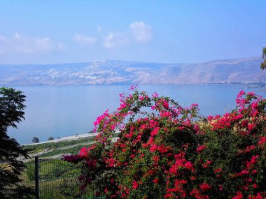 Celile Denizi, Tiberias, kutluluk Mount, İsrail, vaaz güzel manzarasına Dağı üzerinde