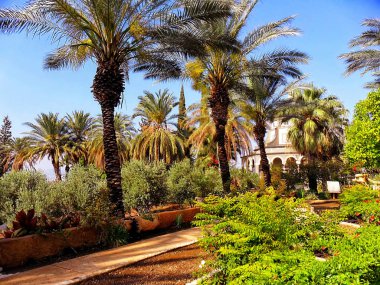 Tiberias, kutluluk Mount, İsrail, vaaz güzel manzarasına Dağı üzerinde