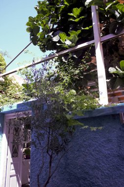 Aegina, Yunanistan - 22 Ağustos 2018 Yunanistan 'ın Aegina kentinde eski bir kafe