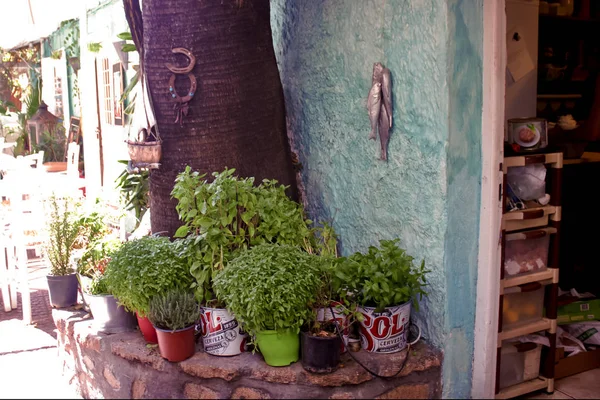 Egina, Grecia, - 22 de agosto de 2018 Interior de un antiguo café en Egina, Grecia (5 ) — Foto de Stock