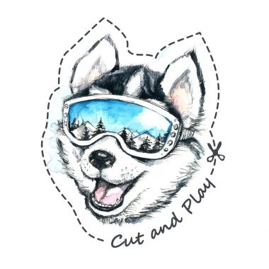 Kayakçı Husky suluboya çizimi.