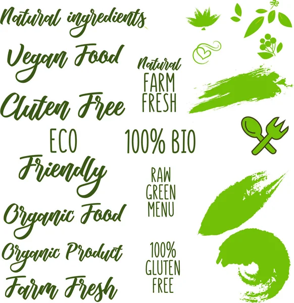 Set umweltfreundlicher grüner Etiketten und Abzeichen mit Blättern für umweltfreundliche Produkte — Stockvektor