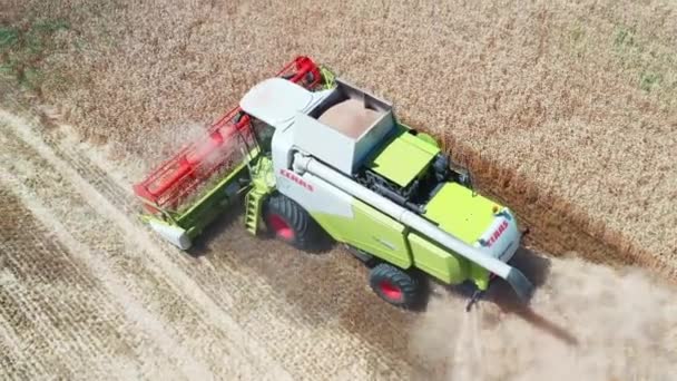 Rusko, 2019: Claas Tucano 580 kombinuje sklízecí stroj na poli s pšenicí — Stock video