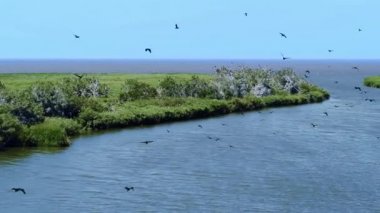 Don 'un Delta' sı, nehir denize akıyor, karabataklar suyun üzerinde uçuyor, bir drondan ateş ediyorlar.