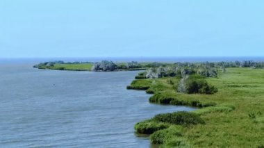 Nehrin ortasındaki adalar, Don Nehri Deltası, uçuşan karabataklar, hava manzarası