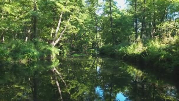 Ein Fluss inmitten von dichtem Dickicht, der von einer Drohne aus geschossen wird. Meditatives Video. — Stockvideo