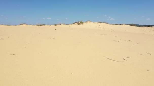 Vue aérienne : dunes de sable, désert, plantes sèches, journée d'été ensoleillée 