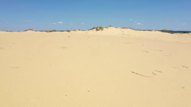 Aerial view: sand dunes, desert, dry plants, sunny summer day — Stock Video