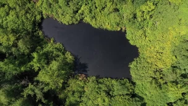 Un beau lac dans la forêt. Nature de la Russie. Tirer depuis un drone 