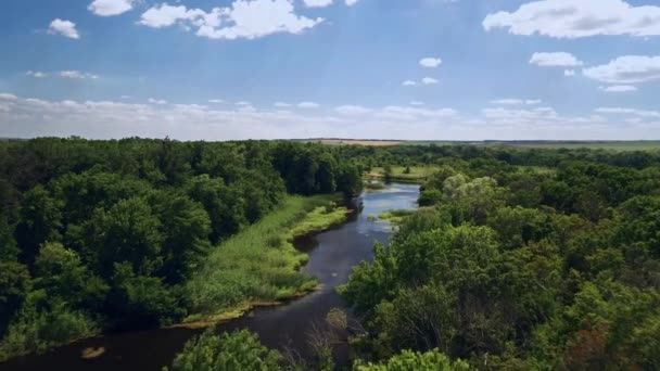Gyönyörű légi kilátás: repül a folyó és az erdő felett, lövés a drón — Stock videók