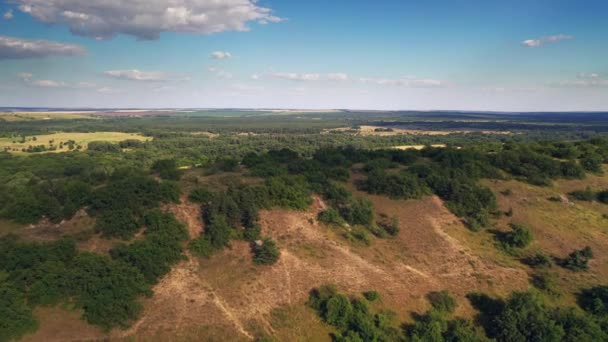 Monte Gorodishche, grandes piedras y árboles verdes, la naturaleza de Rusia desde arriba — Vídeo de stock