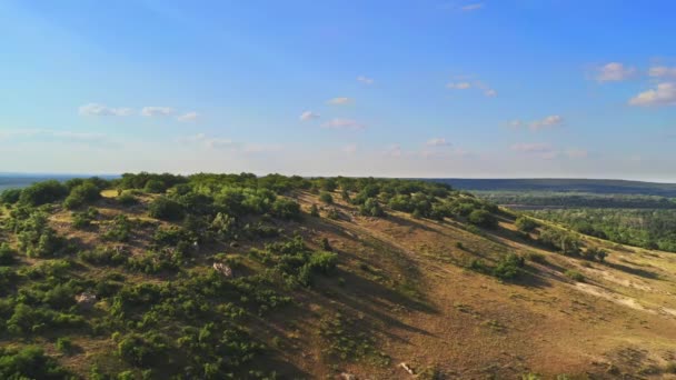 Monte Gorodishche, grandes piedras y árboles verdes, la naturaleza de Rusia desde arriba — Vídeo de stock