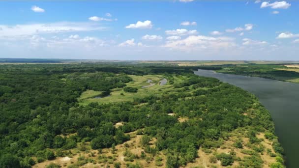 Uitzicht vanuit de lucht: groen bos in de uiterwaarden van de rivier, prachtig landschap — Stockvideo
