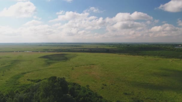 Naturaleza desde arriba: prados verdes, río, cielo azul con nubes blancas — Vídeo de stock