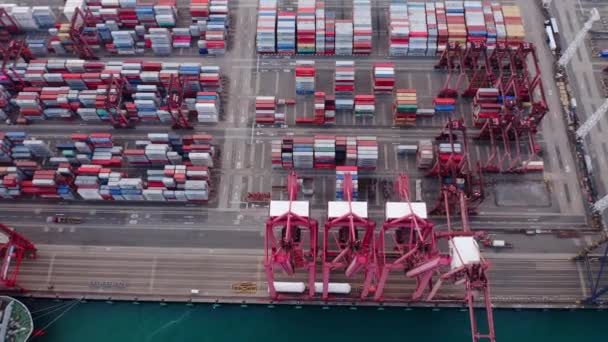 Hong Kong - 2020: Kwai Tsing Container Terminal 9 from above — 비디오