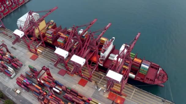Hong Kong, China - 2020: loading containers onto a large ship, aerial view — ストック動画