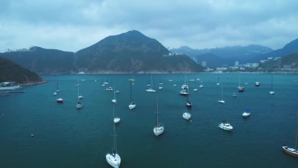 Aerial view: white yachts in the sea bay, mountains and a city in the distance — Stock Video