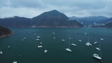 Deniz koyunda bir sürü beyaz yat, güzel bir hava görüntüsü.