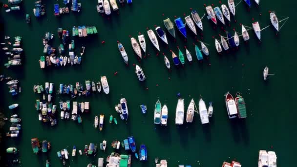 Парковка для яхт и лодок в морской бухте, вид с воздуха в солнечный день — стоковое видео