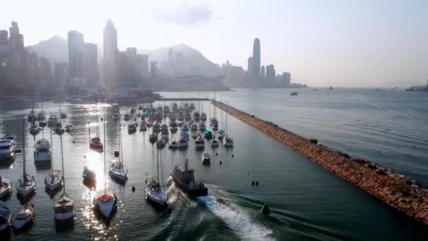 Hongkong, Kina - 2020: Causeway Bay Typhoon Shelter, polisbåt ovanifrån — Stockvideo