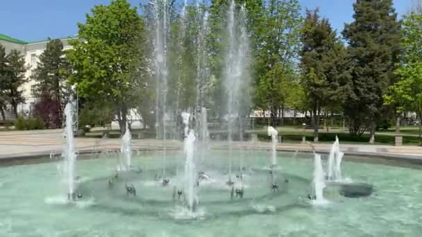 Фонтан в парке в весенний день, фонтанный спрей на ветру — стоковое видео